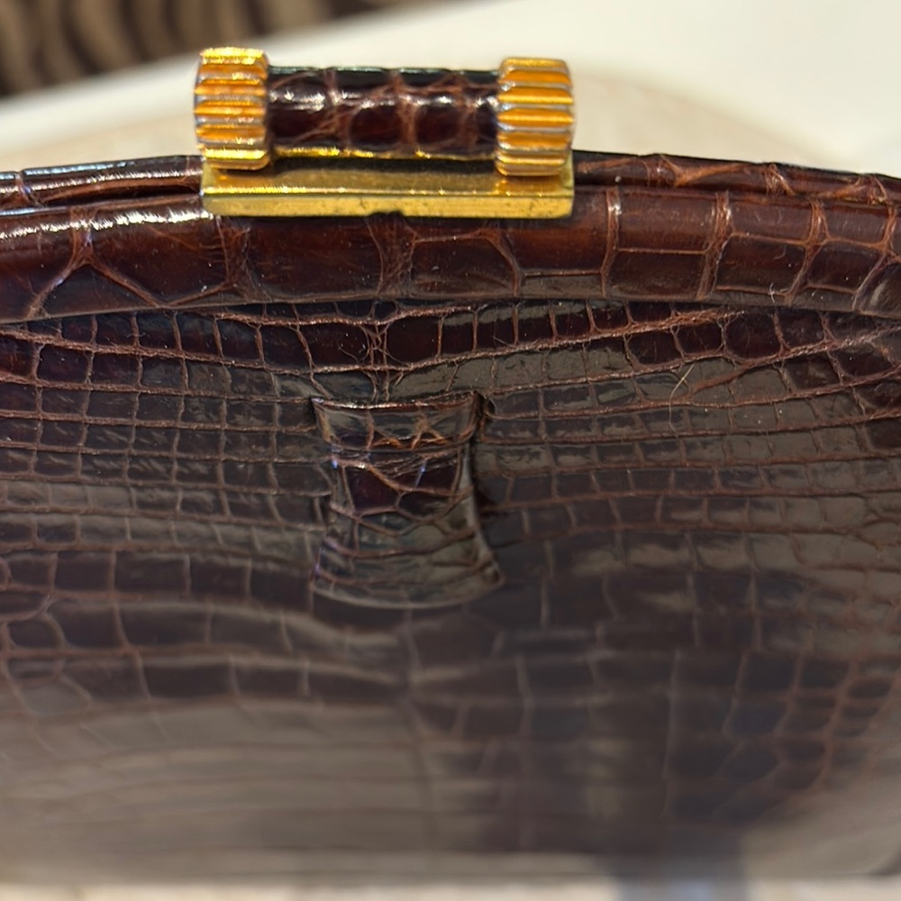 Luxurious Brown and Gold Alligator Skin Satchel